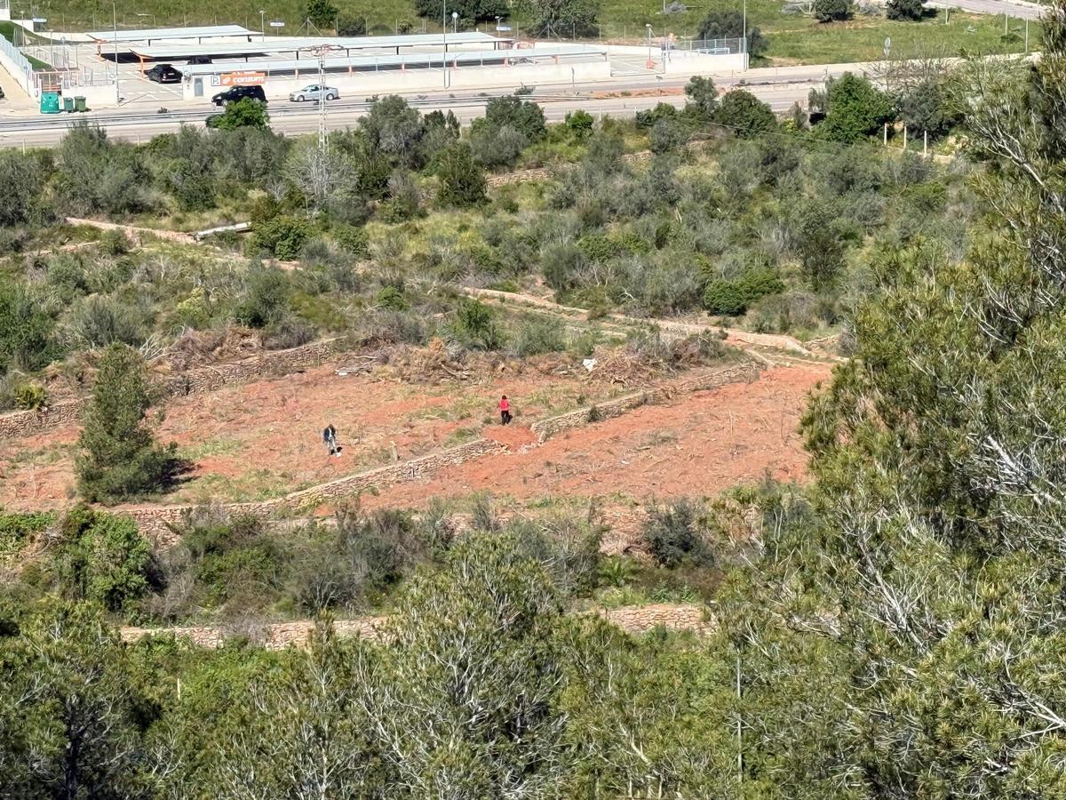 Zona donde se ubicaría el centro.