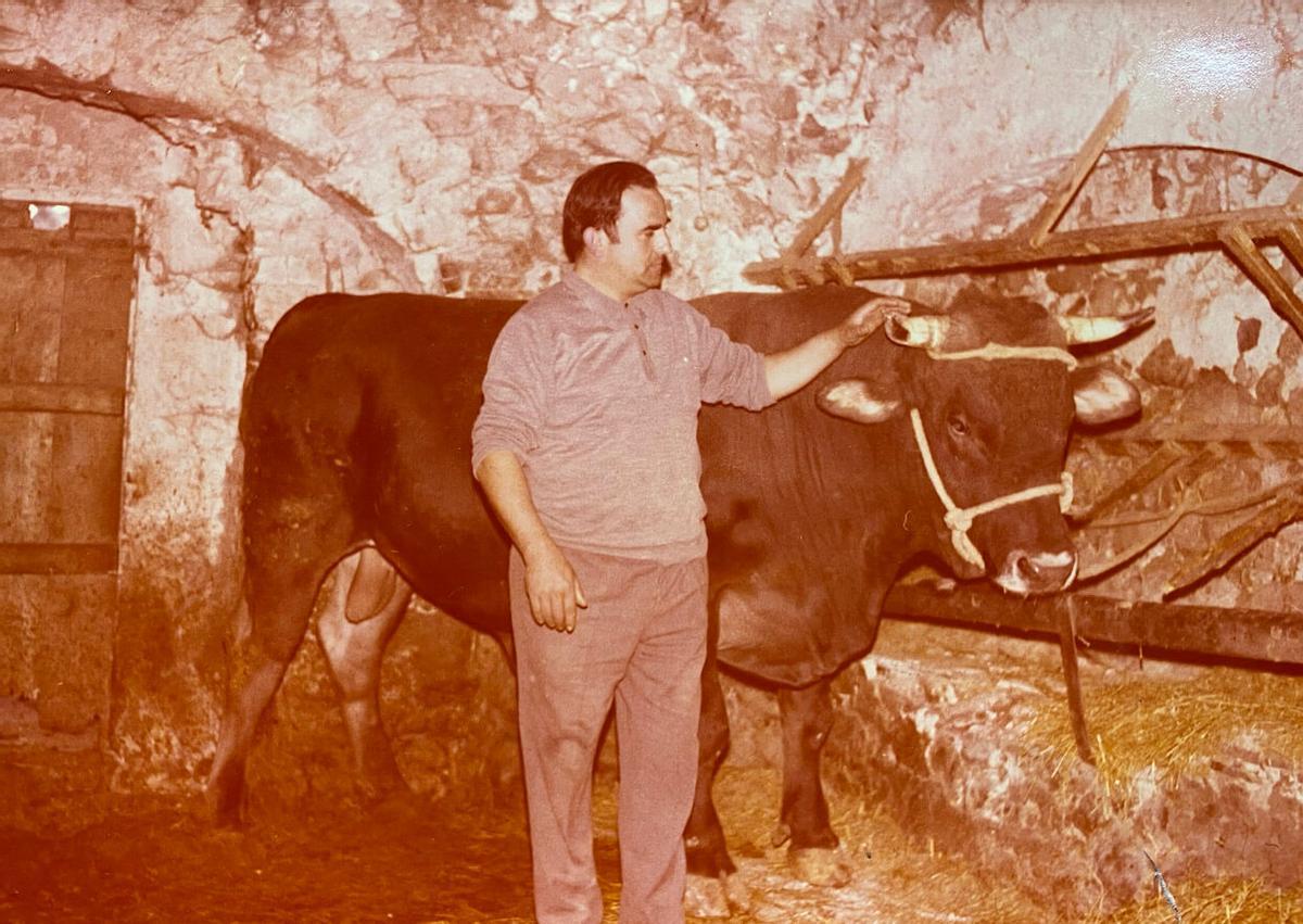 Fotografia antiga d'Esteve Vilanova amb bestiar.