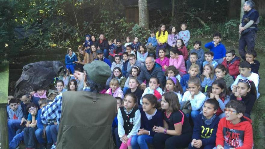 El búho &quot;José Alfredo&quot; conquista en Cangas a los alumnos del colegio de Infiesto