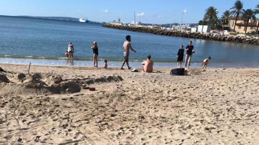 Emaya limpia las playas del Portitxol tras quejas por presencia de ratas