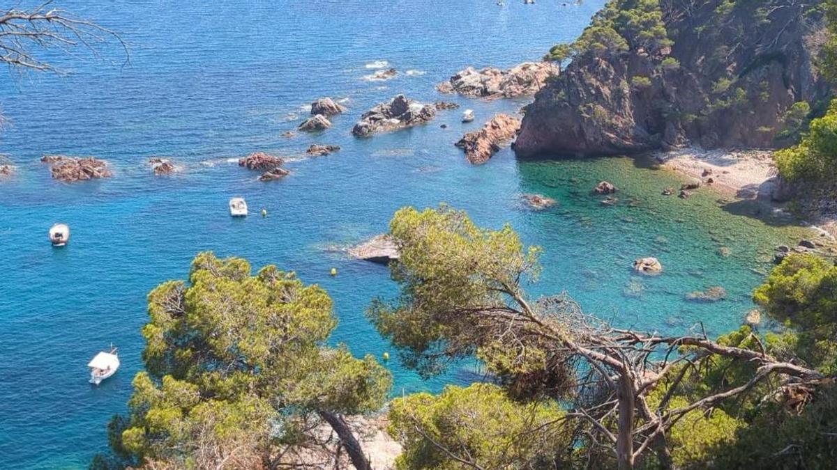 Una de les cales afectades del Baix Empordà per la vandalització de les boies.