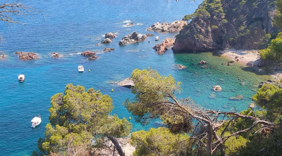 Una de les cales afectades del Baix Empordà per la vandalització de les boies.