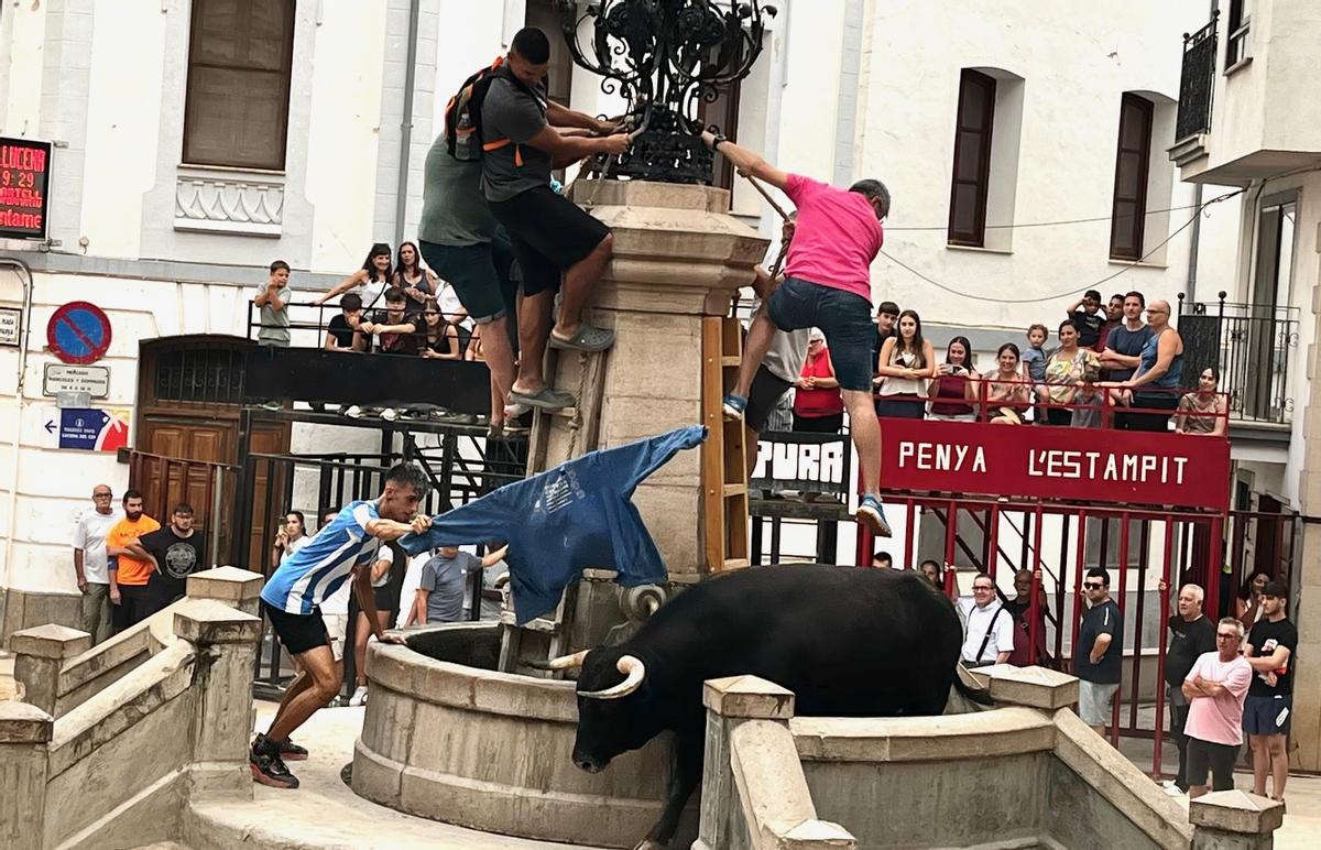 Galería: Así ha sido la fiesta de la Asunción en Llucena Galería: Así ha sido la fiesta de la Asunción en Llucena