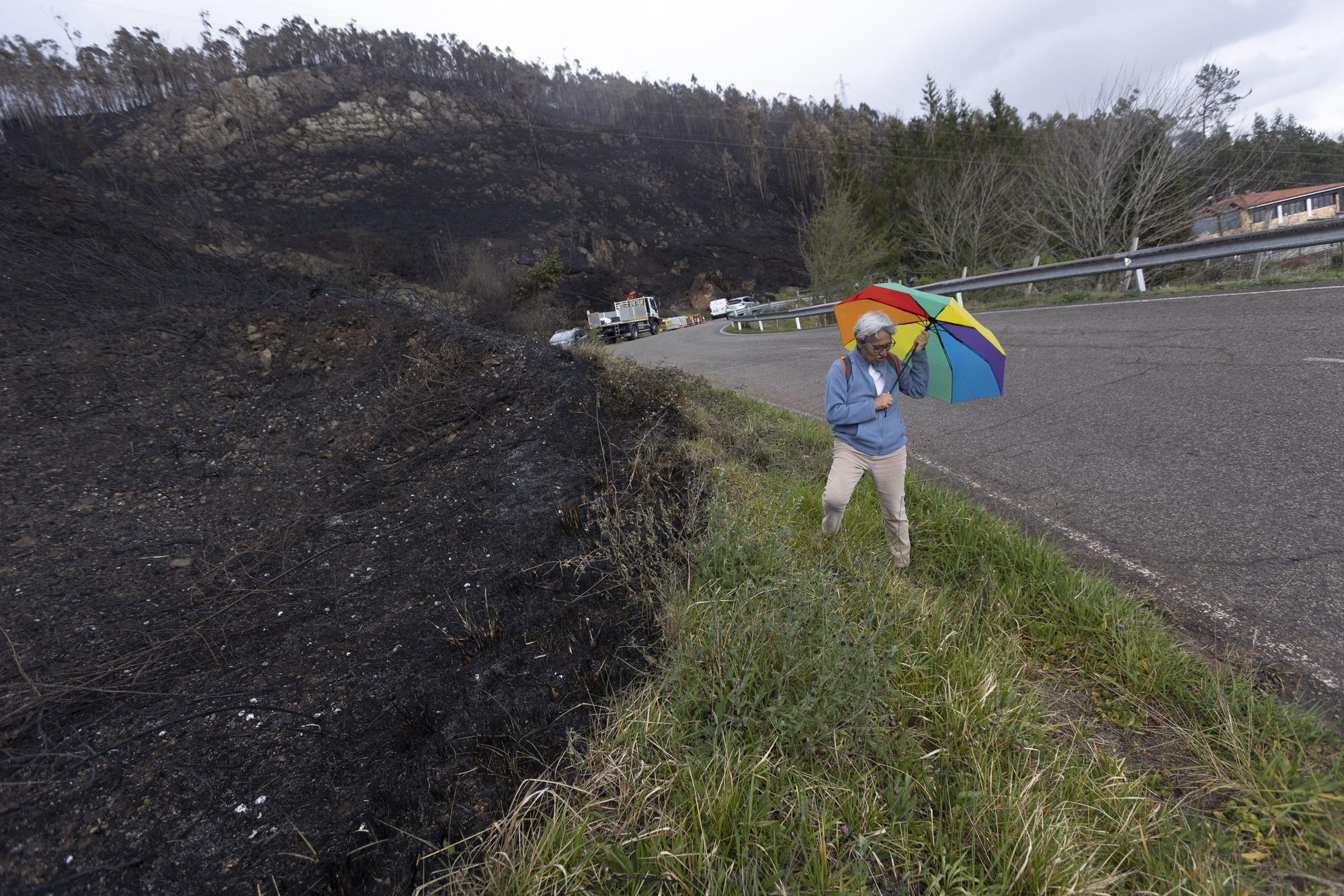 El aspecto del Naranco tras unos incendios históricos