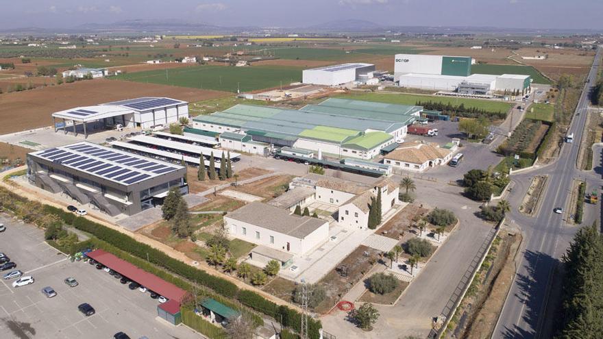 Instalaciones de la cooperativa agroalimentaria Dcoop en Antequera.