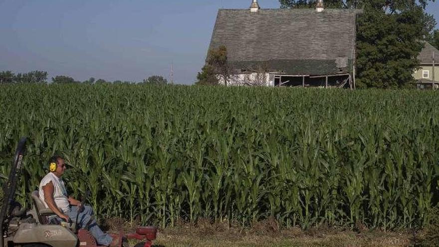 Campo de maíz sembrado en EE UU.