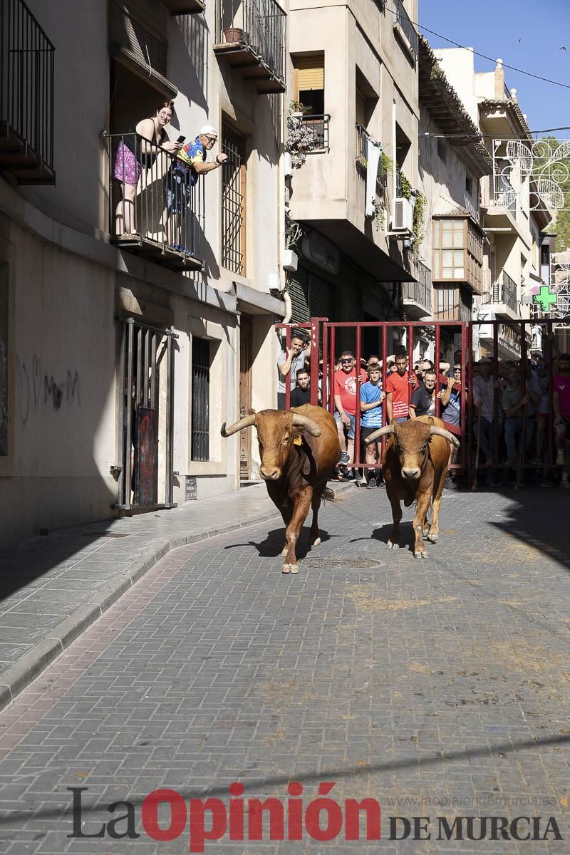 Tercer encierro de las Fiestas de Moratalla