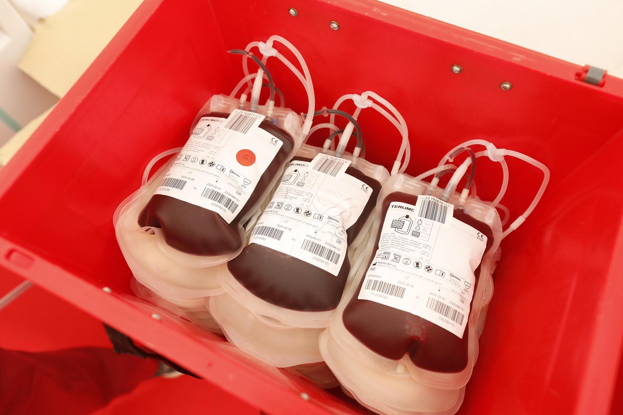 Totes les imatges de la donació de sang de Temps de Flors