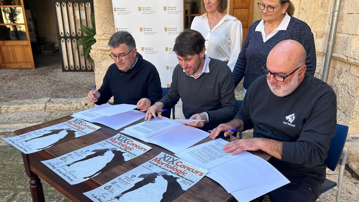 el Govern recupera este evento que tendrá lugar el 5 de mayo en el marco de la Fira de Sineu