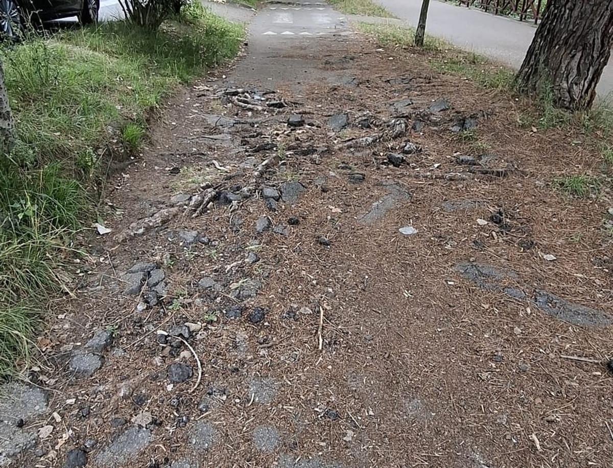Estado de un tramo del carril bici del paseo fluvial de Mieres.