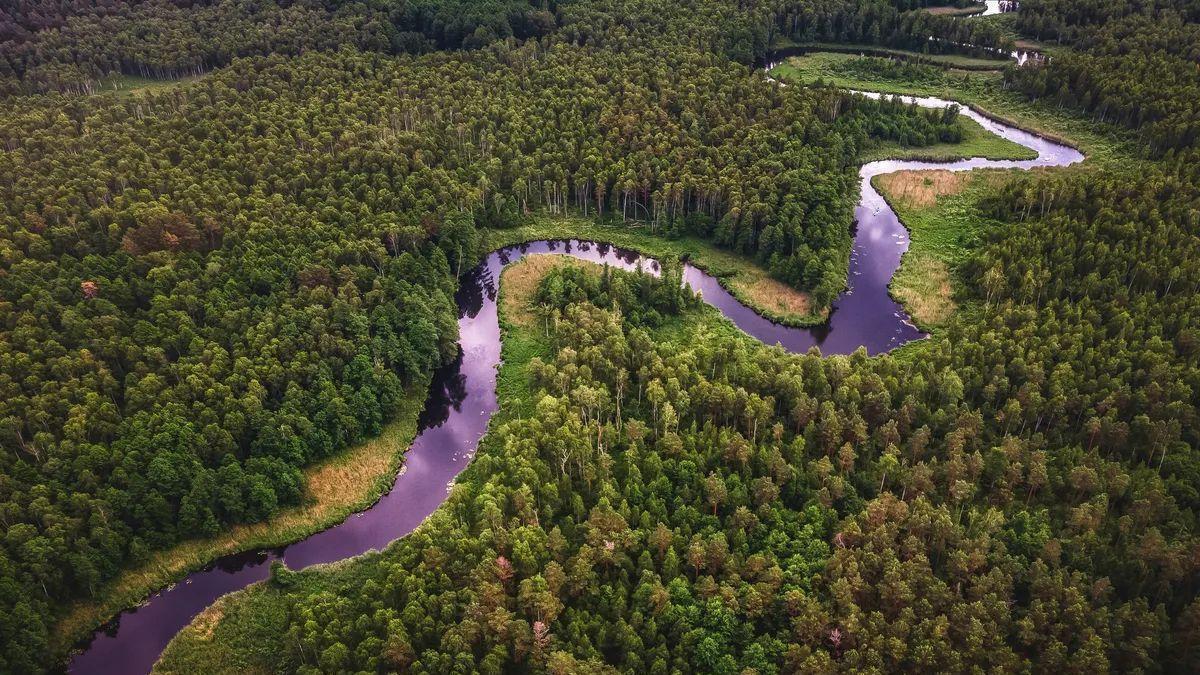 NUEVO CLIMA HIPERTROPICAL | Aparece un nuevo clima, el hipertropical, en la Amazonía por la sequía y el calor extremos