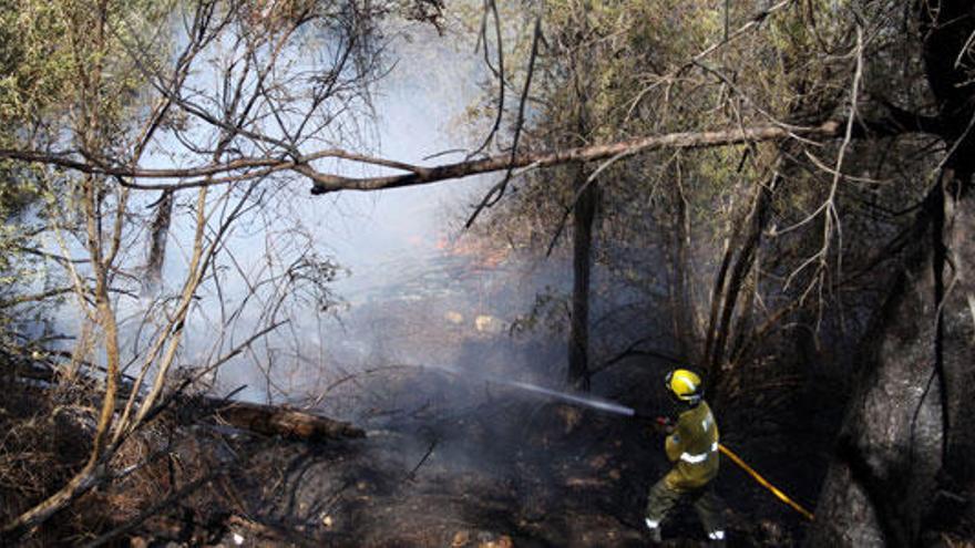 El incendio de la Serra sigue estabilizado a la espera de ser controlado