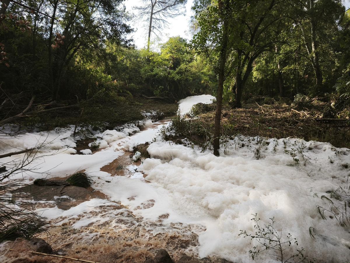 Escuma a la riera a tocar del pàrquing del Suanya
