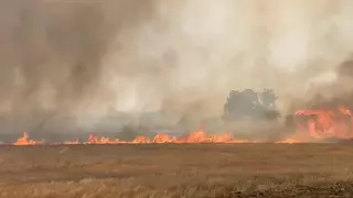 El incendio forestal en Jerez está estabilizado, informa el Infoca