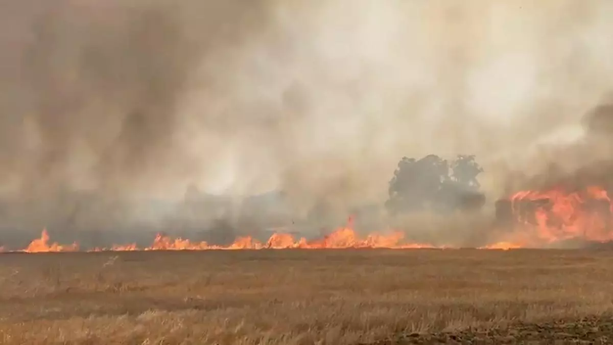 El incendio forestal en Jerez está estabilizado, informa el Infoca