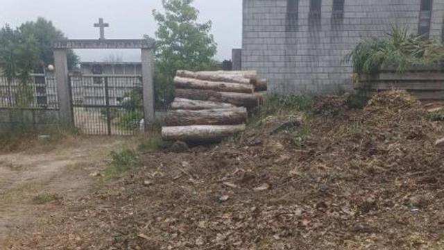La zona, tras la limpieza. | FDV