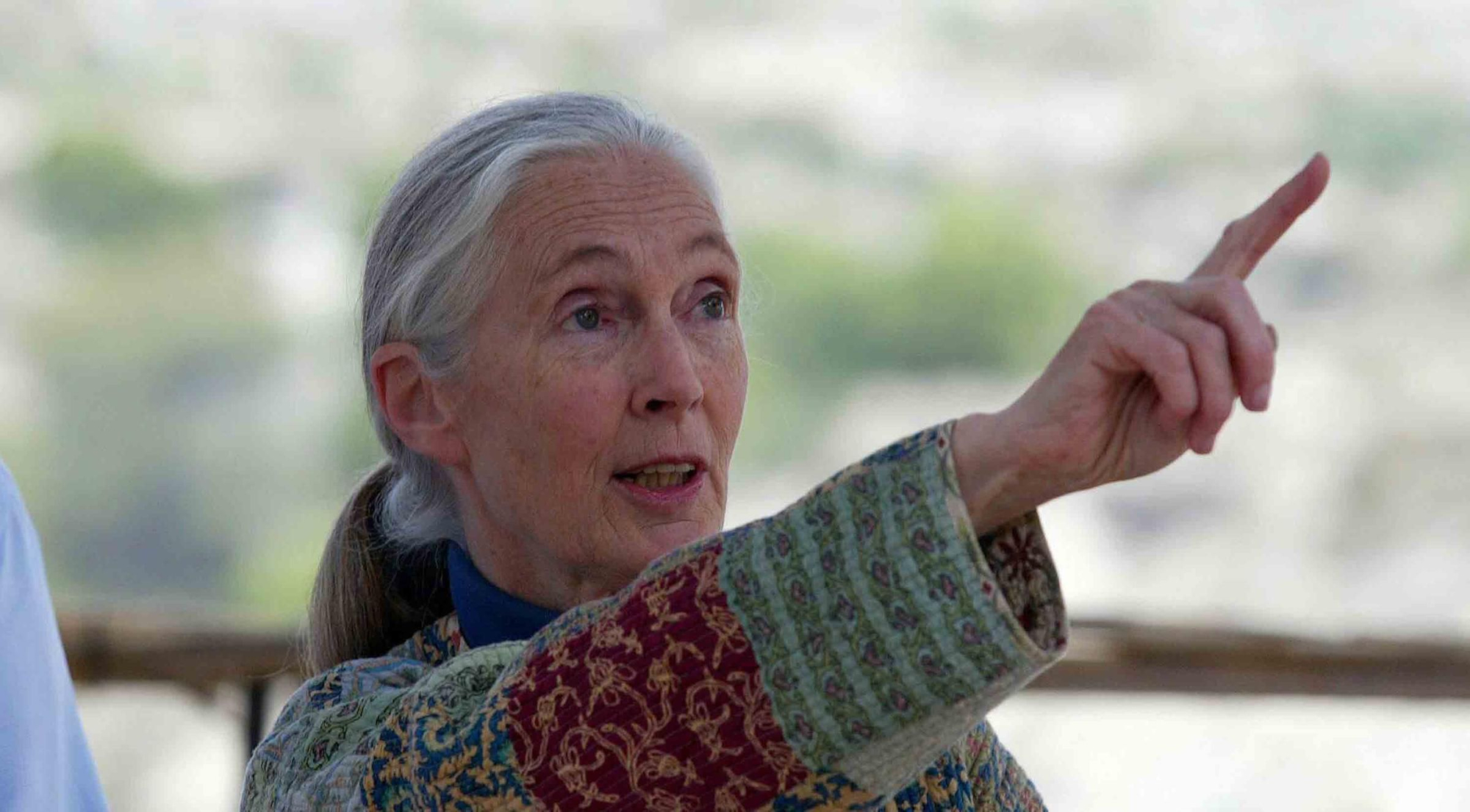 Fallece Jane Goodall, madrina de Primadomus y ‘honoris causa’ por la Universidad de Alicante