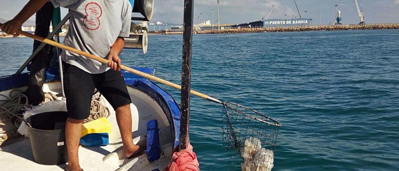 Pescadores de Gandia participan en un proyecto pionero para convertir plástico marino en combustible