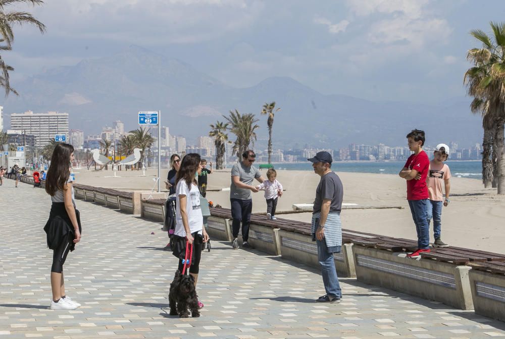 Los más pequeños salen del confinamiento después de más de 40 días pero un gran número de familias salen enteras y no se respeta la distancia de seguridad.