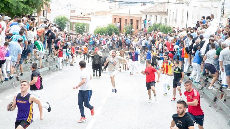 El segundo encierro de Calasparra se saldó sin heridos, pero con un susto al quedar rezagado un novillo.