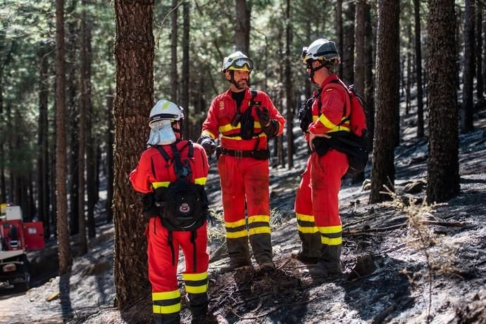 La UME realiza prácticas de prevención de incendios en Gran Canaria