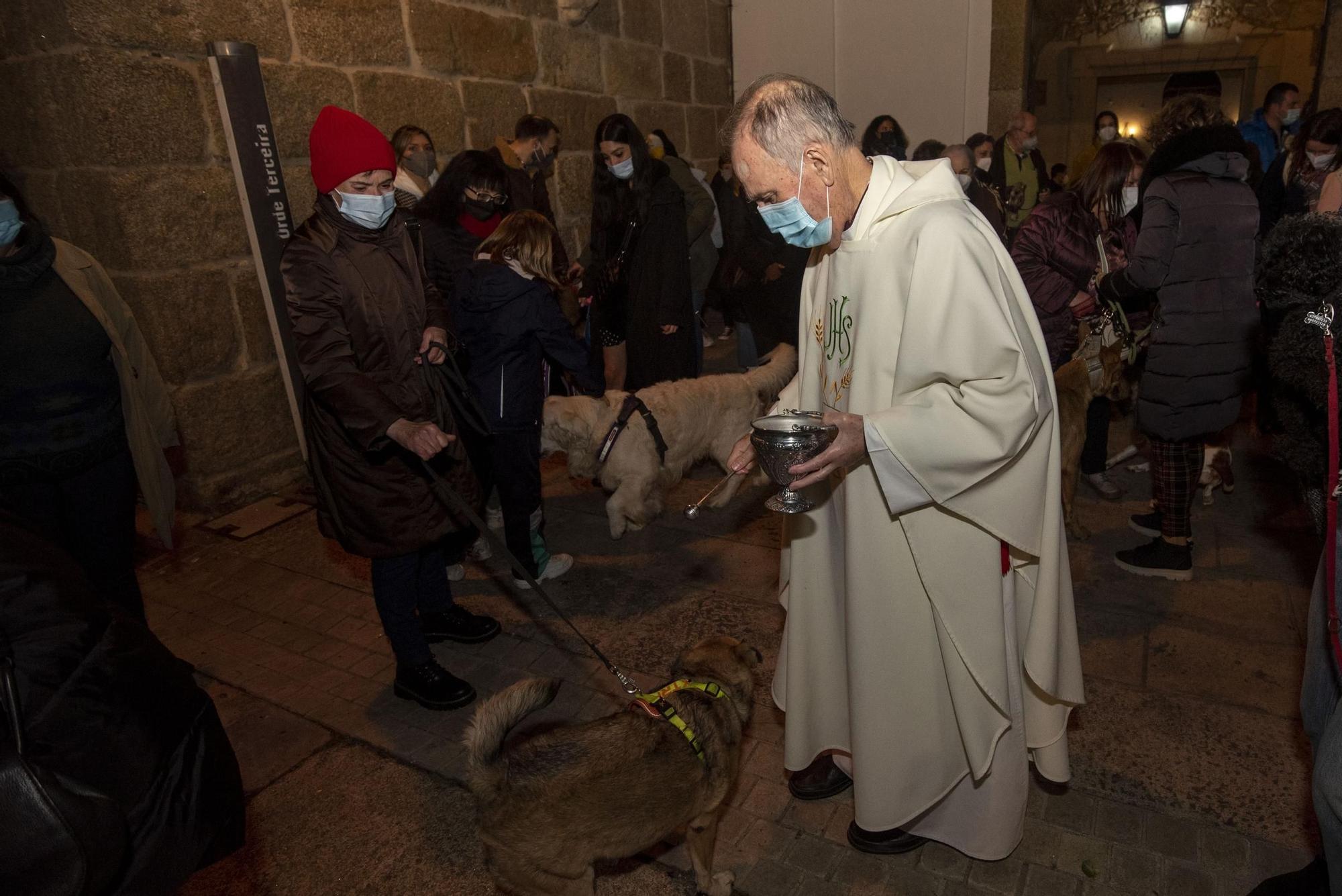 Bendición de mascotas en A Coruña por la festividad de San Antonio Abad