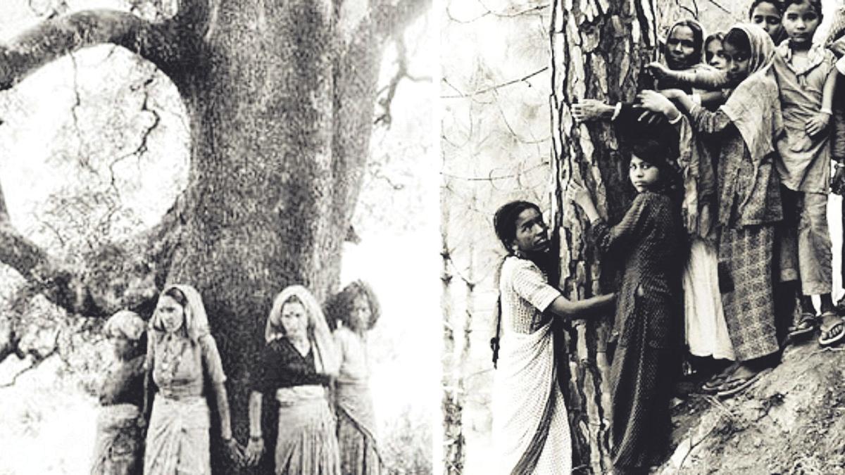 El Movimiento Chipko se inspiró en una lucha que ocurrió en la India hace más de trescientos años y que tenía a una mujer como líder.