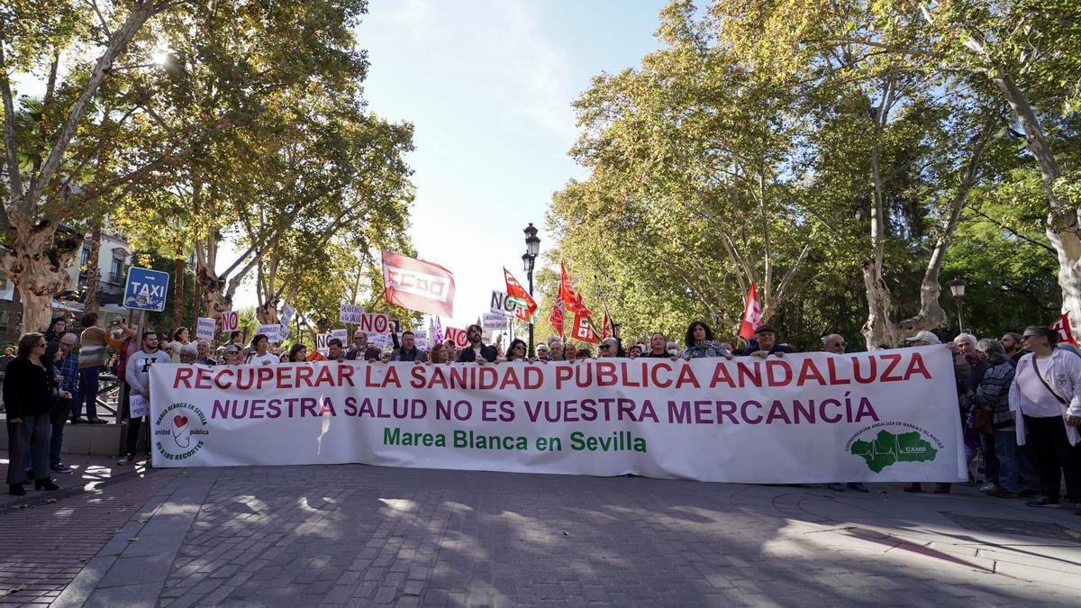 Manifestación en defensa de la sanidad pública.