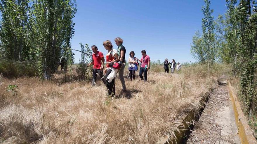 La DGA cede 13 hectáreas para el banco de tierras del ayuntamiento