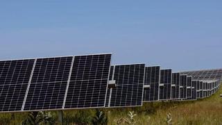 Medio Ambiente rechaza un proyecto fotovoltaico entre Muelas y Almaraz