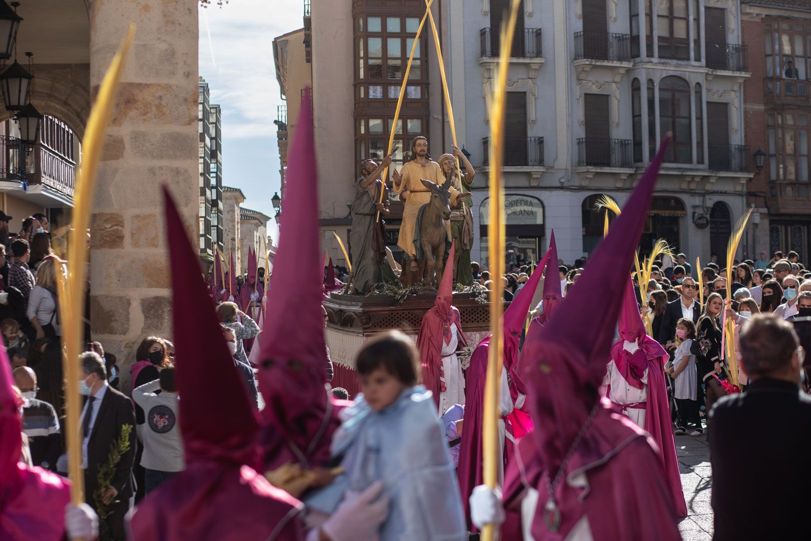 GALERÍA | La procesión de "La Borriquita", en imágenes