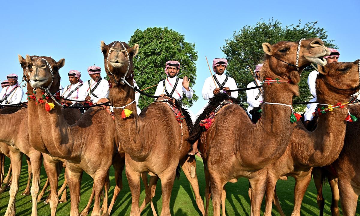 Policías montados sobre camellos el día de la inauguración del Mundial, en Jor.