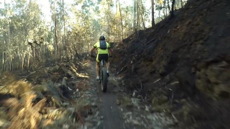 Incendios en Galicia | Un paseo por las tierras quemadas de Coruxo