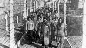 Prisioneros en Auschwitz.