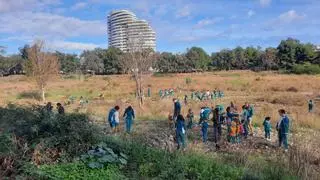 Los institutos de Sagunt mantienen su compromiso ambiental