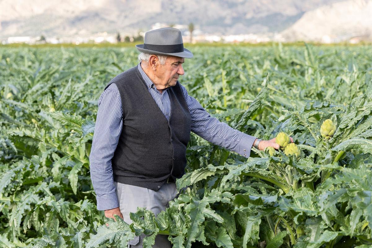 Un momento del vídeo promocional de Alcachofa Vega Baja