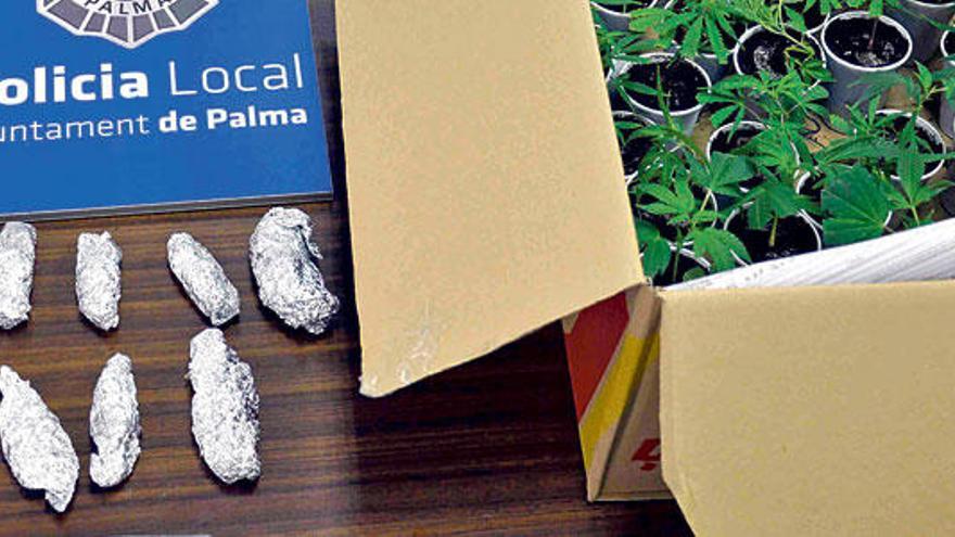 Plantas de marihuana intervenidas a los ocupantes de un vehículo junto a Son Banya.