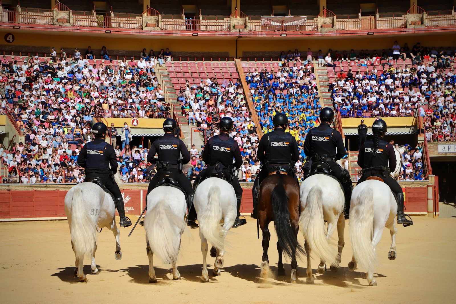 La Policía Nacional de Córdoba organiza una exhibición de medios policiales para las nuevas generaciones