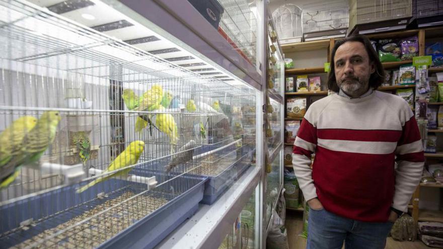 Las tiendas de mascotas de Mallorca auguran cierres cuando entre en vigor la ley de Bienestar Animal