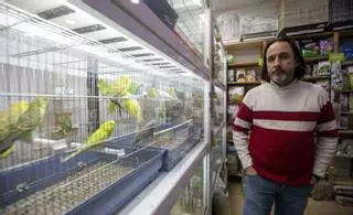 Las tiendas de mascotas de Mallorca auguran cierres cuando entre en vigor