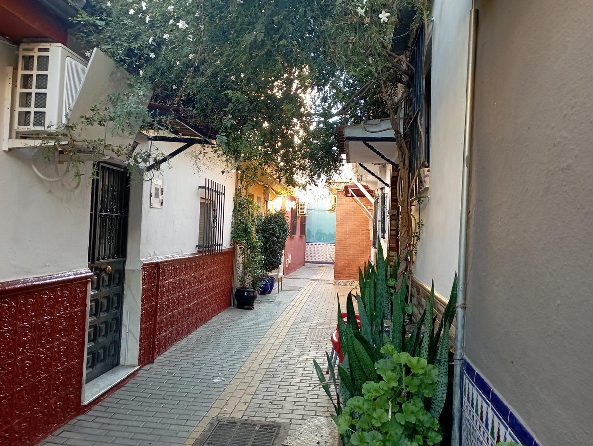 Otro tramo de la calle Pedraza Páez en El Palo.