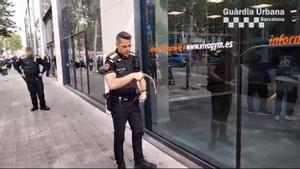 La Guardia Urbana captura una serpiente viva en la avenida Diagonal de Barcelona