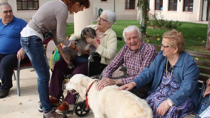 Terapia con perros para los usuarios de la residencia de la tercera edad de Almassora