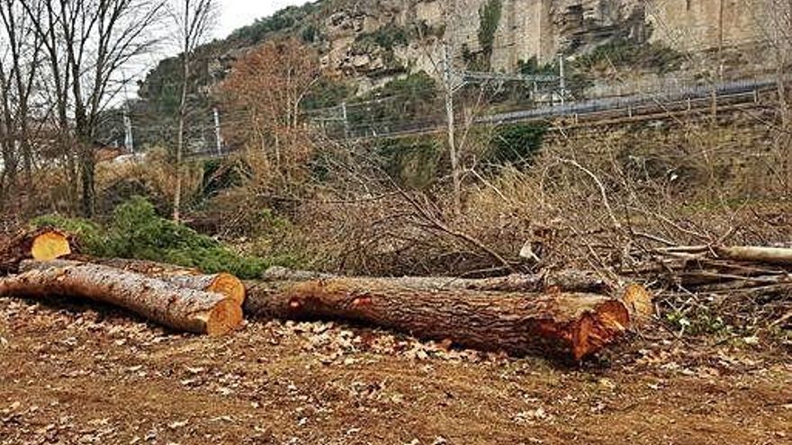 Resultats de la neteja a la llera del Cardener