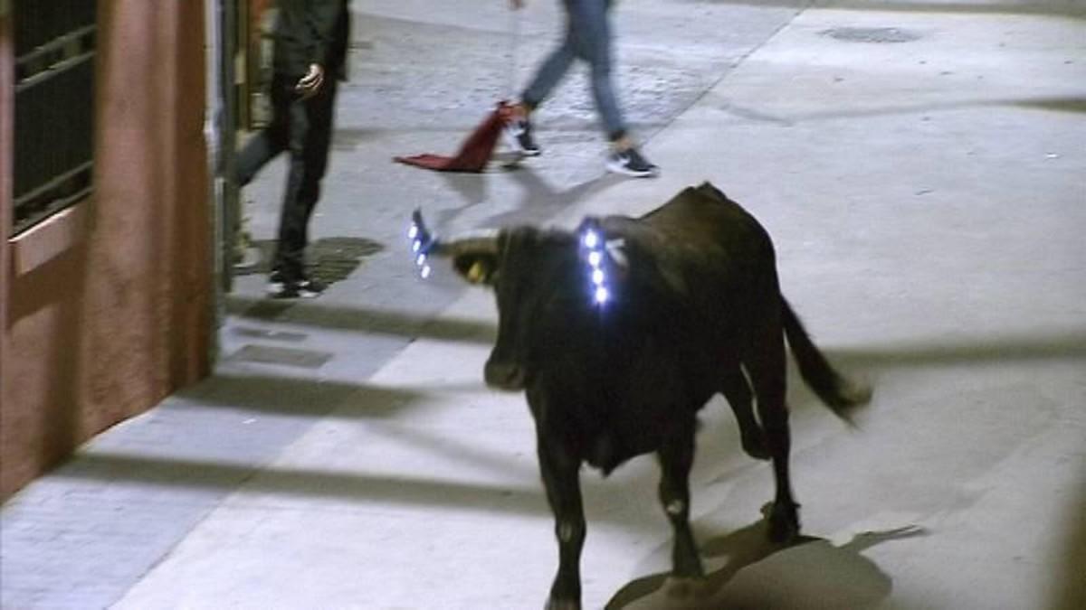 Un toro con bombillas en las fiestas de Los Fayos.