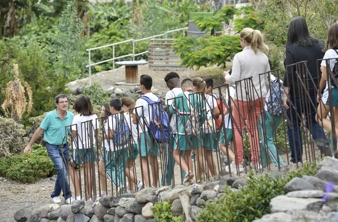 LAS PALMAS DE GRAN CANARIA A 05/06/2017. Día Mundial del Medio Ambiente. 100 escolares de varios colegios en las diferentes actividades de Centro Ambiental El Pambaso. FOTO: J.PÉREZ CURBELO