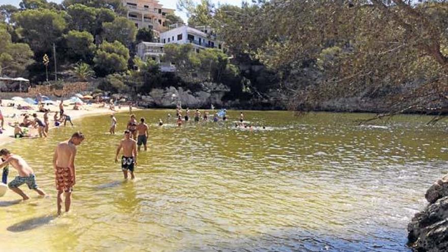 Sieht nicht mehr so schön aus, bedenkenlos baden kann man darin aber trotzdem: die Cala Santanyí mit Mikroalgen auf einem Archivbild.