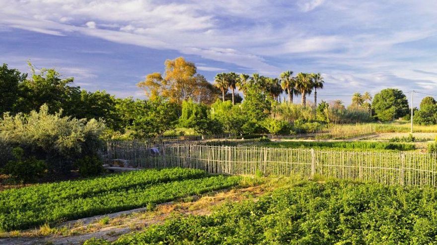 Estos son los 8 restaurantes con más encanto de la Huerta de Murcia: &quot;Belleza natural y hospitalidad murciana&quot;