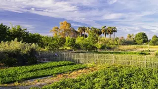 Estos son los 8 restaurantes con más encanto de la Huerta de Murcia: "Belleza natural y hospitalidad murciana"