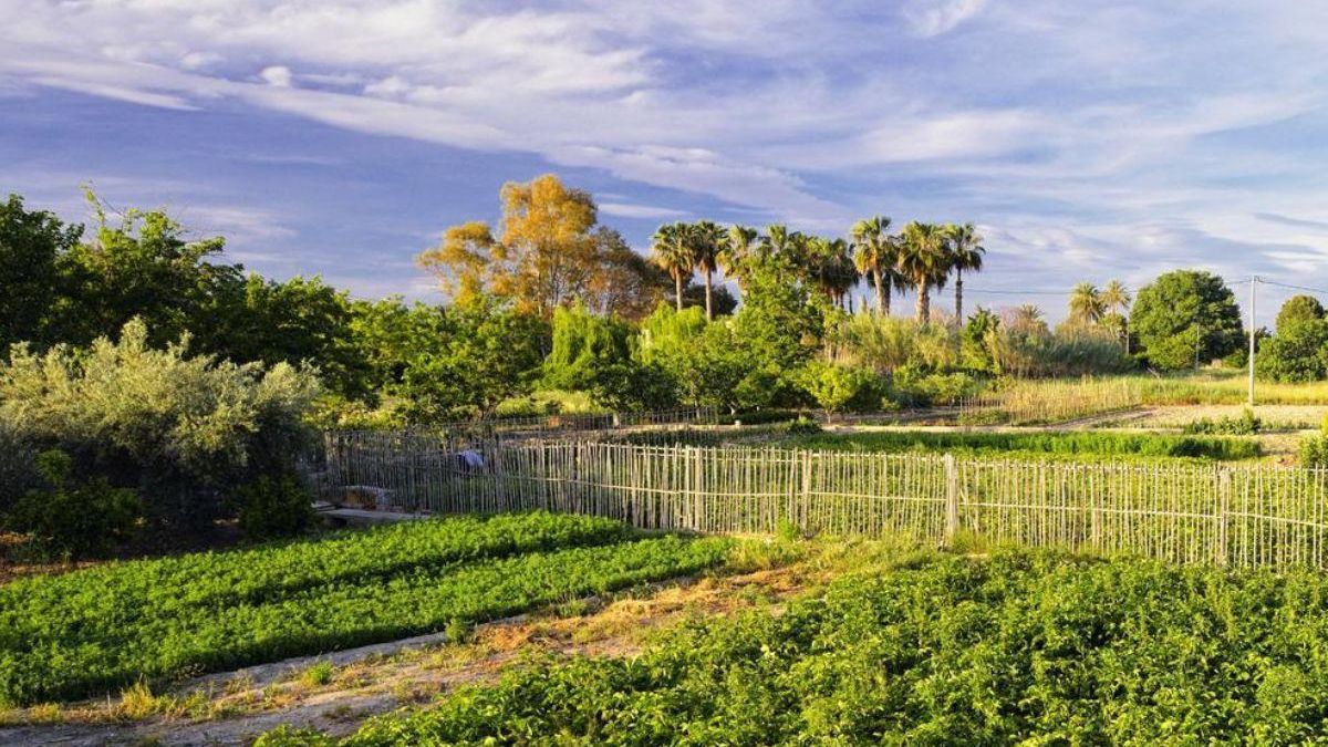 Estos son los 8 restaurantes con más encanto de la Huerta de Murcia Belleza natural y hospitalidad murciana